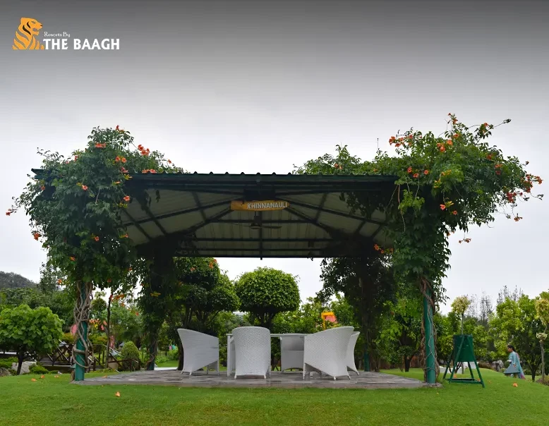 Why a Luxury Jungle Stay in Jim Corbett Is the Perfect Digital Detox