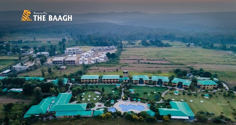 From Jungle Views to Spa Treatments: What Makes a Resort in Jim Corbett Truly Luxurious