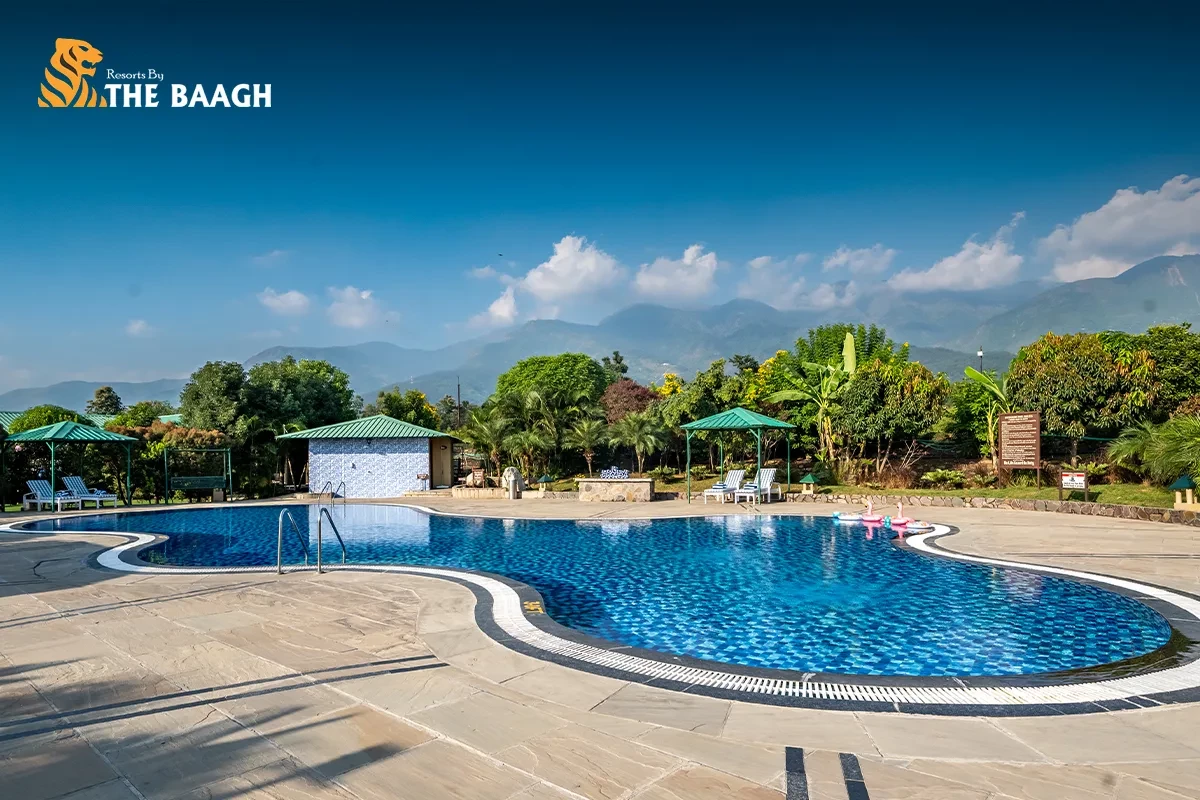 Hidden Experiences You Can Enjoy While Staying at Resorts in Jim Corbett