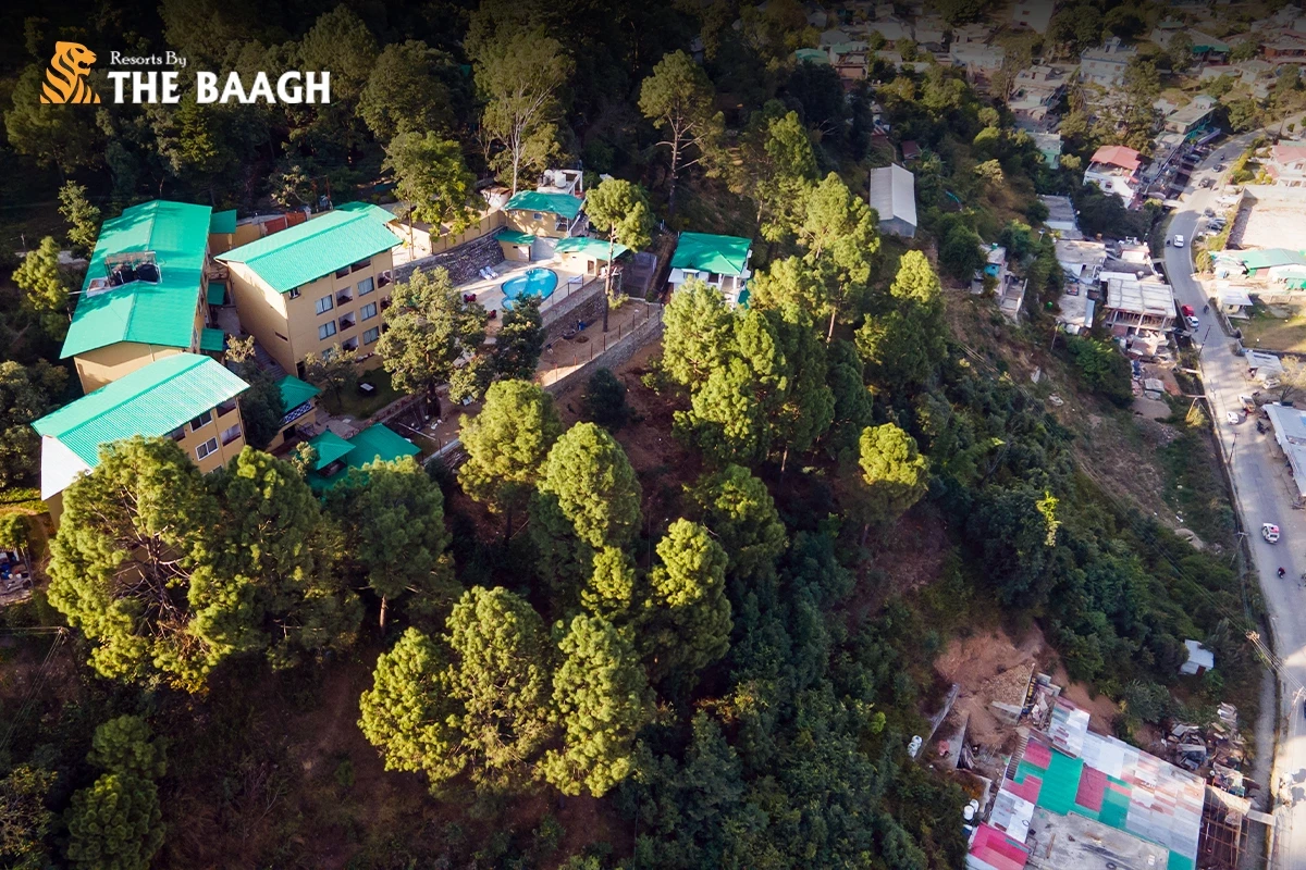 Neem Karoli Baba Dham and Luxury Hotels: The Best of Bhimtal’s Spiritual and Comfort Zones