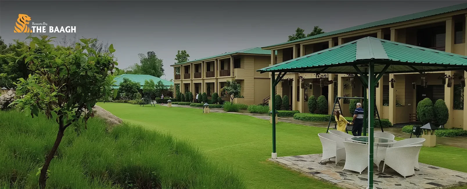 Jim Corbett Travel Guide for First-Time Visitors: Where to Stay and What to Do