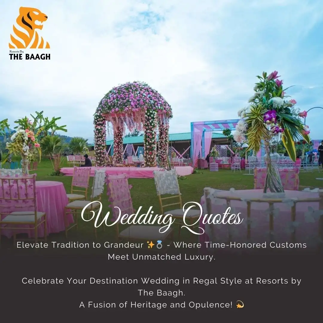 Plan A Grand Destination Wedding In Jim Corbett