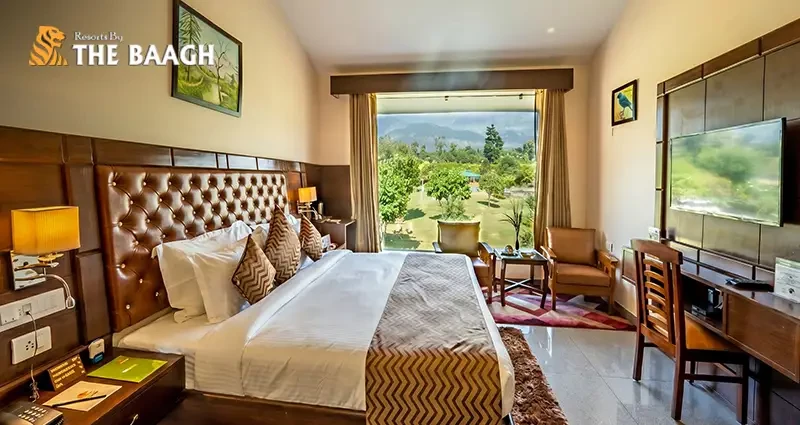 River-Facing vs Jungle-View Rooms in Jim Corbett: Which Should You Book?