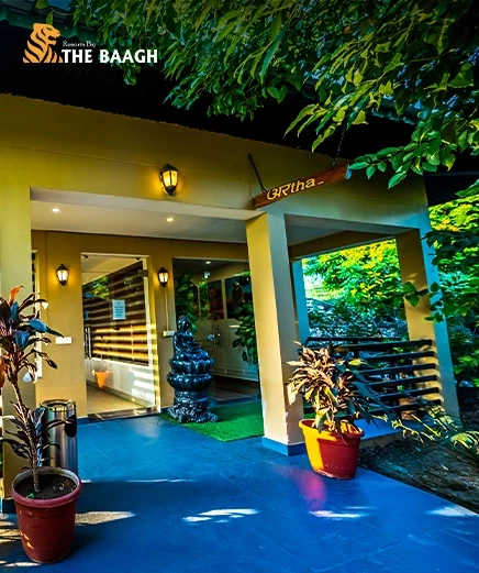 Ayurveda by the Lake: The Science Behind Wellness Retreats in the Kumaon Hills